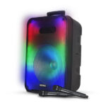 בידורית ניידת 2000W כולל שני מיקרופונים Dome דום CLUB112