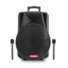 בידורית ניידת 15" DOME DM2015