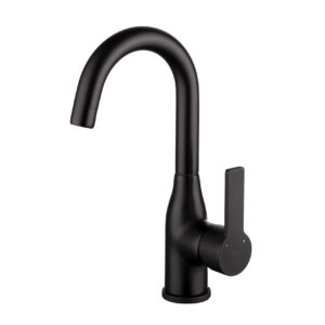 ברז ברבור שחור מט קצר מעוצב