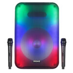 בידורית ניידת 2000W כולל שני מיקרופונים Dome דום CLUB112