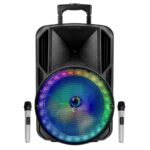 בידורית בלוטות "12 PURE ACOUSTICS פיור אקוסטיקס ZX200