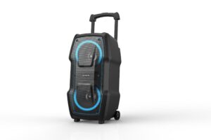 בידורית ניידת עם מיקרופון אלחוטי איווה X100D AIWA איווה