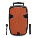 רמקול אלחוטי מוגבר Pure acoustics פיור אקוסטיקס PMW2015