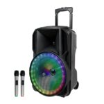 בידורית ניידת Pure Acoustics פיור אקוסטיקס ZX100