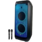 בידורית ניידת 8" Pure Acoustics פיור אקוסטיקס PACHA