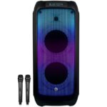 בידורית ניידת 8" Pure Acoustics פיור אקוסטיקס PACHA