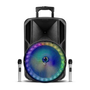 בידורית ניידת Pure Acoustics פיור אקוסטיקס ZX100