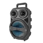 בידורית קריוקי ניידת Pure Acoustics פיור אקוסטיקס ZX80