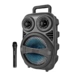 בידורית קריוקי ניידת Pure Acoustics פיור אקוסטיקס ZX80